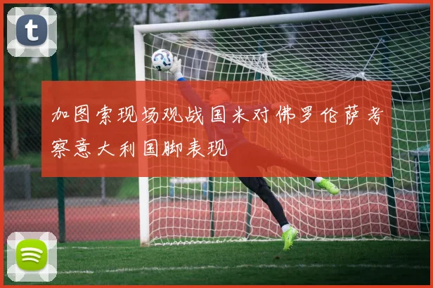 加图索现场观战国米对佛罗伦萨考察意大利国脚表现