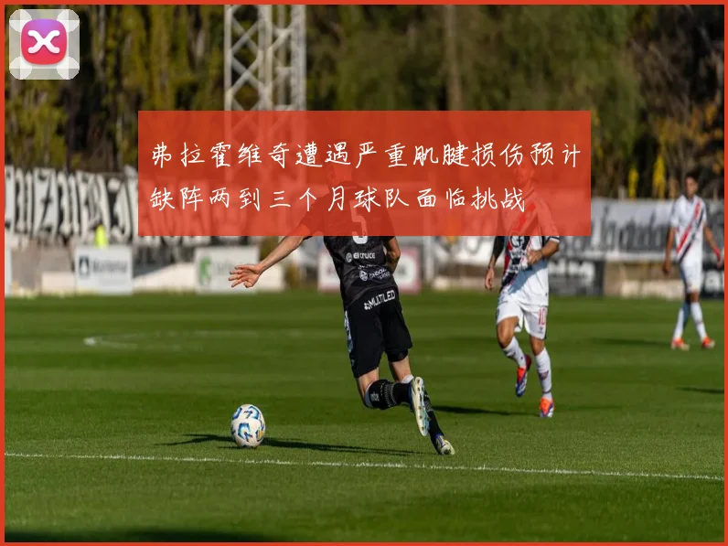 弗拉霍维奇遭遇严重肌腱损伤预计缺阵两到三个月球队面临挑战