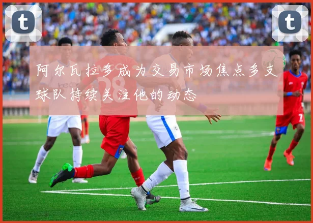阿尔瓦拉多成为交易市场焦点多支球队持续关注他的动态