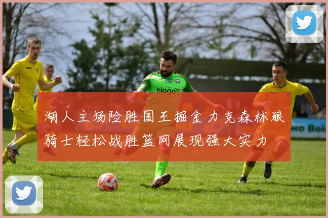 湖人主场险胜国王掘金力克森林狼骑士轻松战胜篮网展现强大实力