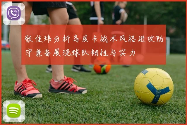 张佳玮分析乌度卡战术风格进攻防守兼备展现球队韧性与实力