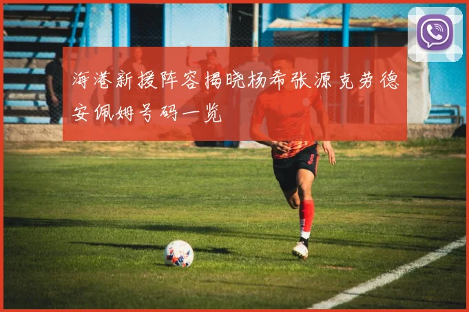 海港新援阵容揭晓杨希张源克劳德安佩姆号码一览