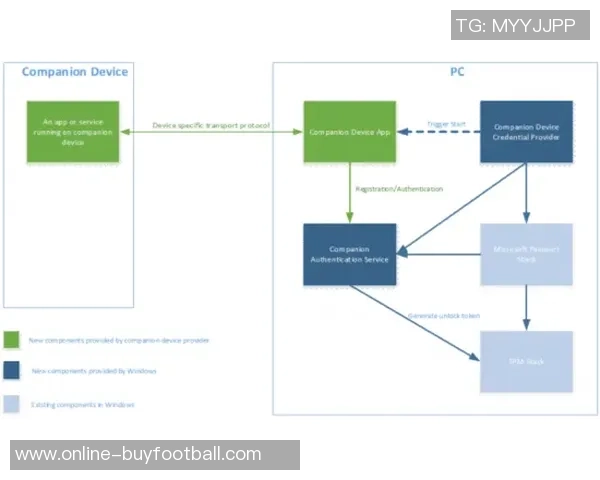 菲兹戴尔分析当今五大传球手的技术特点与比赛影响力 菲兹戴尔分析当今五大传球手的技术特点与比赛影响力
